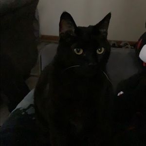 Meet your Posher, Marissa